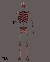 BloodSkeleton
