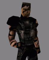 COMMANDO1