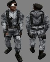 CSCZ_Arctic3