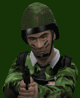 CamoBarney