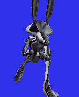 Coyote1