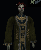 DarkElfM