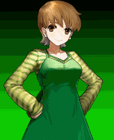 FETaiga