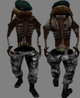 FastZombieCommander