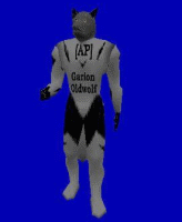 Garion