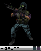 Hgrunt31