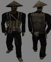 HoE_VC