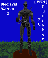 MedievalWarrior3