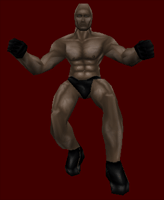MuscleBase