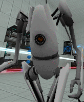 P-Body