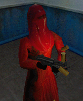 ROYAL_GUARD_AGI