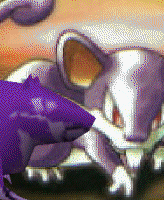 Rattata