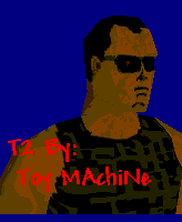 T2