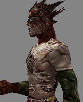 anarki