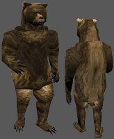animal_bear