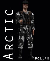 arctic1
