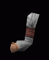 arm1