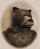 bear