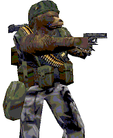 bear1