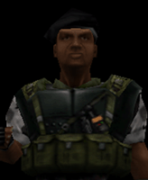 beret29