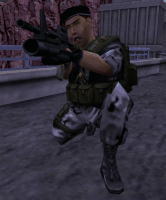 beret32