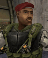 beret33
