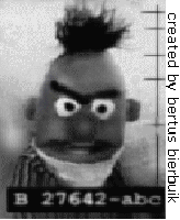 bert