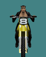 bike_nina