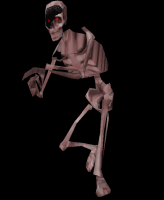 bionicskel