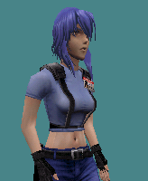 bluepolice