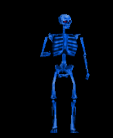 blueskel