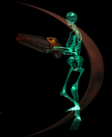 bones