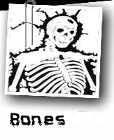 bones3