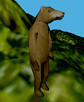 brownbear