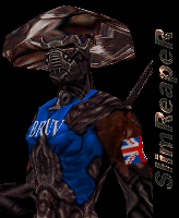 bruvleader