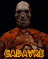cadaver
