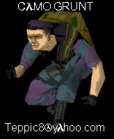camo