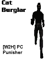 catburglar1