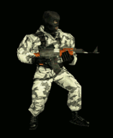 cs1.0_arctic