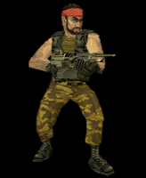 cs1.0_guerilla
