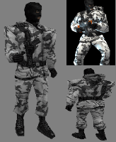 cs1.6_arctic