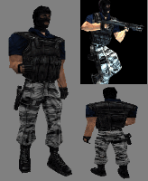 cs1.6_terror