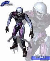 csNeo_skull