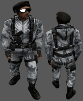 cs_arctic1
