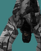 cs_arctic2