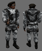 csczds_arctic