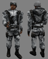 csczds_arctic1