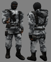 csczds_arctic2