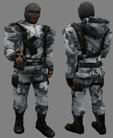 csczds_arctic3