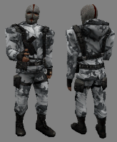 csczds_arctic4